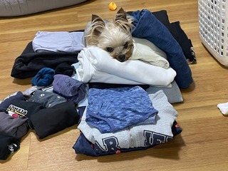 IMG_5062.jpeg