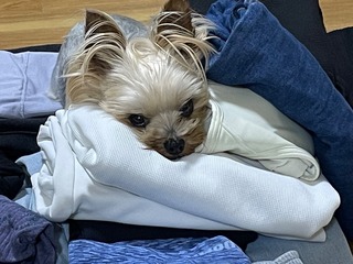 IMG_5063.jpeg