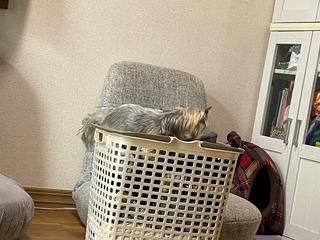 IMG_5119.jpeg