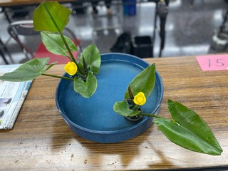 IMG_5127.jpeg