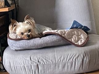 IMG_5148.jpeg