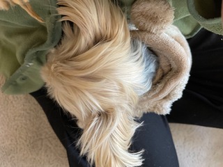 image-1ef98.jpg