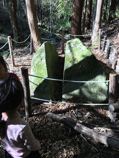 image-42780.jpeg