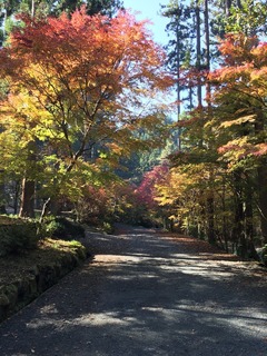 image-56694.jpeg