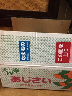 image-69edd.jpeg