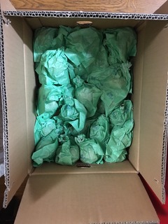 image-84e67.jpeg