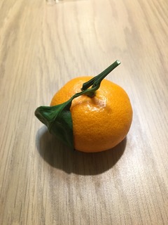 image-d71e5.jpeg