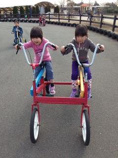image5.jpeg