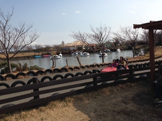 image6.jpeg